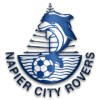 Team logo